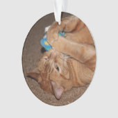 Tater Ornament (voorkant)