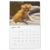 Tater tot 2024 Kalender (Feb 2027)