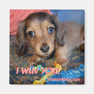 TatianaTheDog puppy magneet - IK WUV YOU!