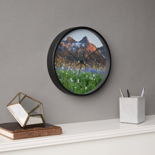 Tatoosh Range en wilde bloemen | Mt. Rainier (Kantoor)