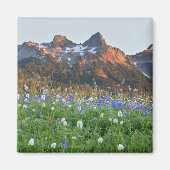 Tatoosh Range en wilde bloemen | Mt. Rainier Magneet (Voorkant)