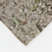 Tatou sur la grande couverture d'ouatine (Coin)