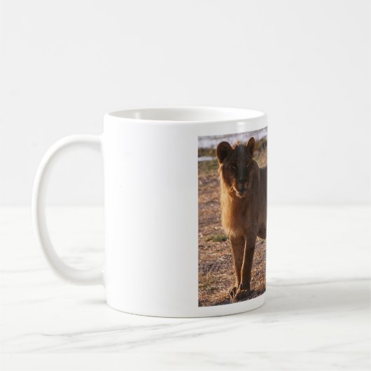 Tau, Lion, Foto Koffiemok (Links)