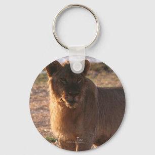 Tau, Lion, Foto Sleutelhanger