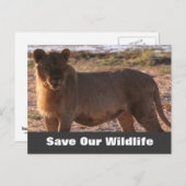 Tau Sauver notre carte postale (Devant / Derrière)