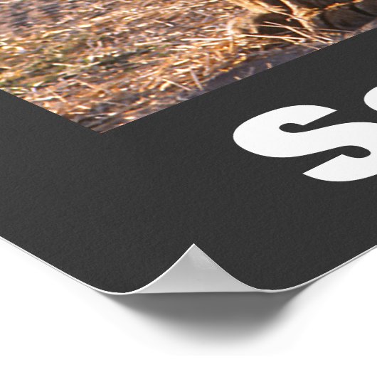 Tau Save Our Wildlife Poster (Coin)