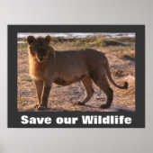 Tau Save Our Wildlife Poster (Devant)