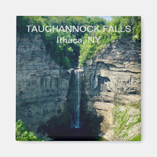 Taughannock Herfsten, Ithaca NY Magnet Magneet