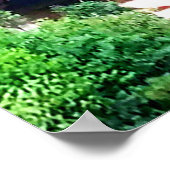 TAUGHANNOCK TOMBE DANS LE POSTER THACA (Coin)