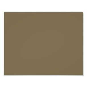 Taupe Brown Color Background Foto Afdruk