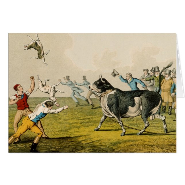 "Taureau amorçant", pub. par Thomas McLean, 1820, (Devant horizontal)