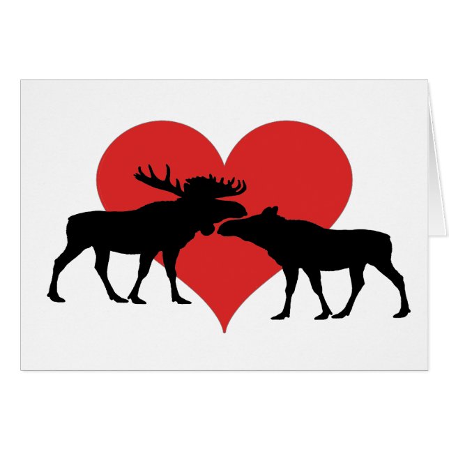 taureau et vache d'orignaux (Devant horizontal)