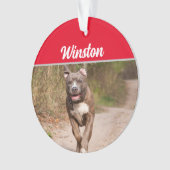 Taureau gris avec nom et photo Noël (devant)