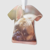 tauromachie (devant)