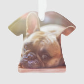 tauromachie (devant)