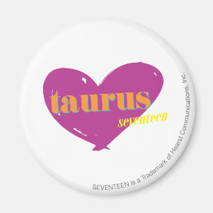 Taurus 2 magneet