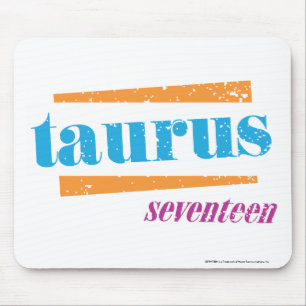 Taurus Aqua Muismat