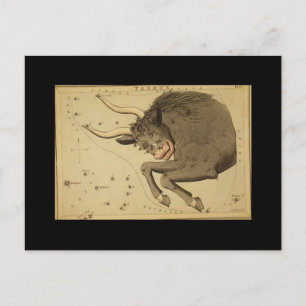 Taurus Briefkaart