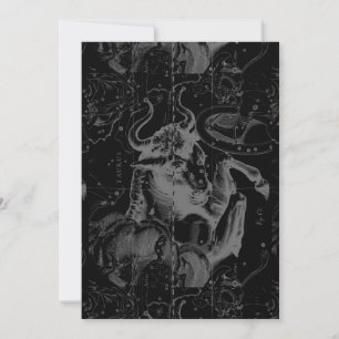 Taurus Constellation Hevelius 1690 Decor