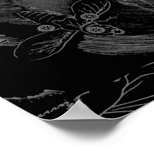 Taurus Constellation Hevelius 1690 Decor Poster (Hoek)