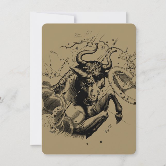 Taurus Constellation Hevelius 1690 Engraving (Voorkant)