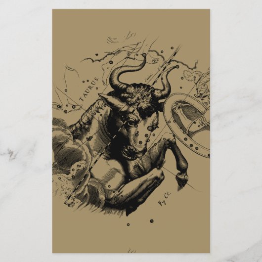 Taurus Constellation Hevelius 1690 Engraving Flyer (Voorkant)