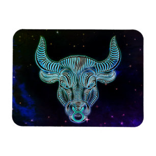 taurus de stier zodiaa magnet magneet