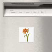 Tawny daylily magneet (Insitu (Vaatwasser))