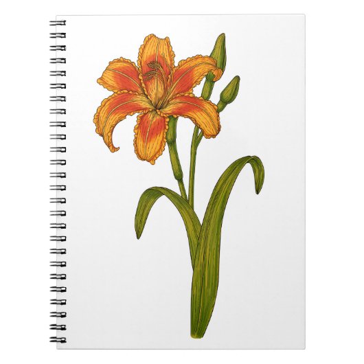 Tawny daylily notitieboek (Voorkant)