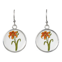 Tawny daylily