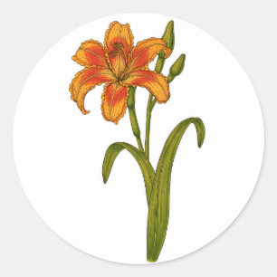 Tawny daylily ronde sticker