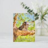 Tawny Frog Mouth Briefkaart (Staand voorkant)