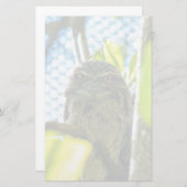 Tawny is No Owl Briefpapier (Voorkant / Achterkant)