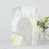 Tawny is No Owl Briefpapier (Staand voorkant)