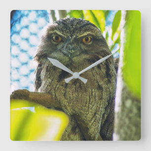 Tawny is No Owl Vierkante Klok