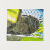 Tawny is No Owl Wandkleed (Voorkant (horizontaal))