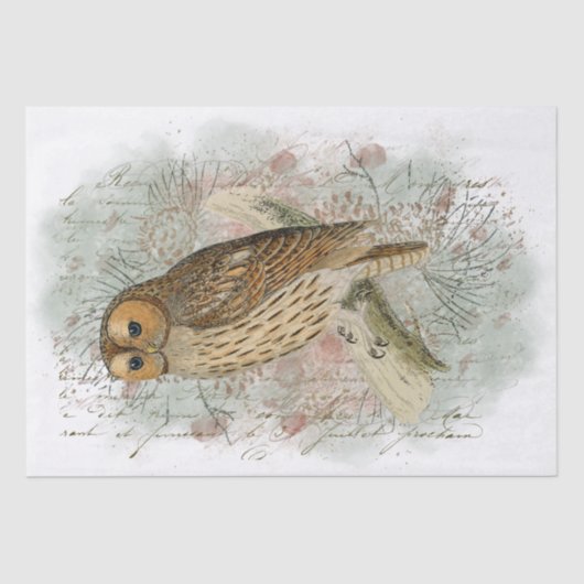 Tawny Owl Bird Pinecone French Script Decoupage Tissuepapier (Voorkant)