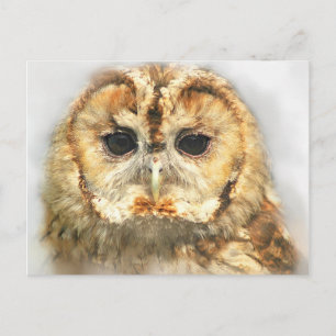 Tawny Owl Briefkaart