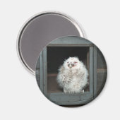 Tawny Owl Magneet (Voorkant / Achterkant)