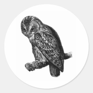 Tawny Owl Owls Bird  Wood Engraving Ronde Sticker
