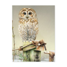 Tawny Uil in de Sneeuw fine art waterverf briefkaa