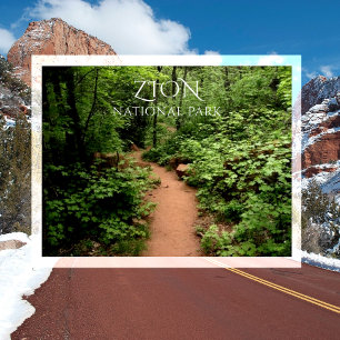 Taylor Creek Trail, Kolob Canyons, Zion NP Utah Briefkaart