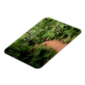 Taylor Creek Trail, Kolob Canyons Zion NP Utah Magneet (Linkerzijde)