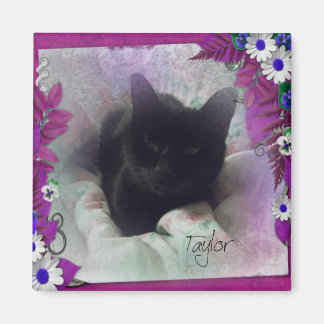 Taylor Koelkast Magnet Magneet