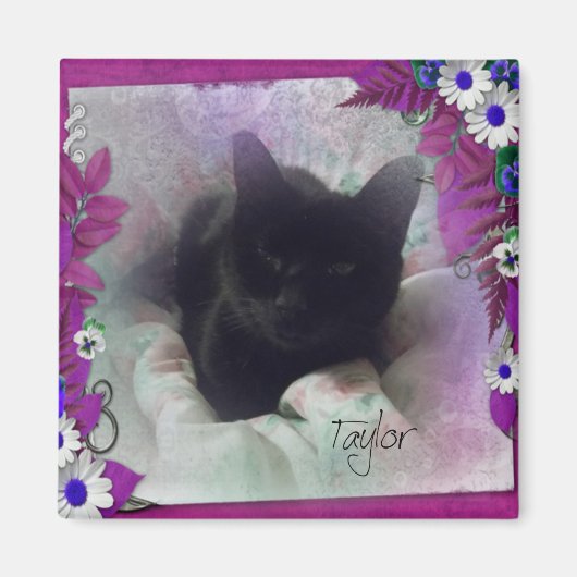 Taylor Koelkast Magnet Magneet (Voorkant)