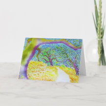 Taylor Sleep van het Park van de Berg de Regionale