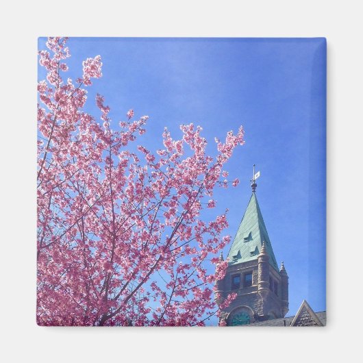 Taylor Tower in Spring, Bryn Mawr College Magneet (Voorkant)