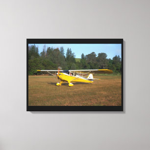 Taylorcraft, BC-12, 1941_Classic Aviation Canvas Afdruk