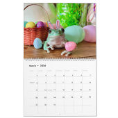 Tay's Exotic Critters Secourt Calendrier 2024 (Mar 2026)