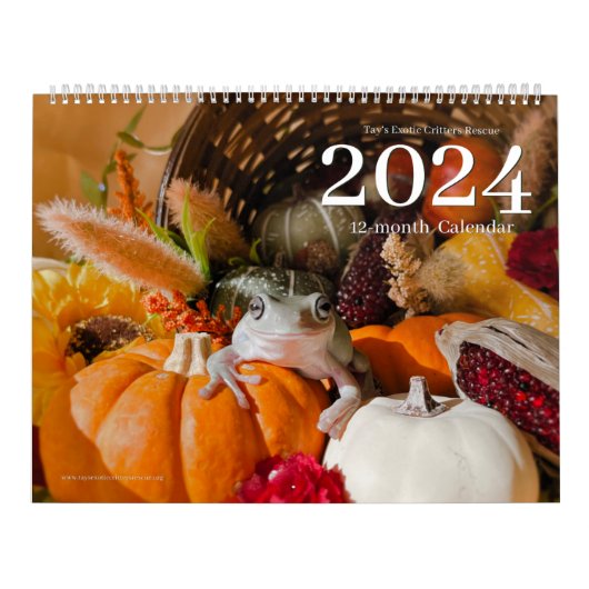 Tay's Exotic Critters Secourt Calendrier 2024 (Protection)